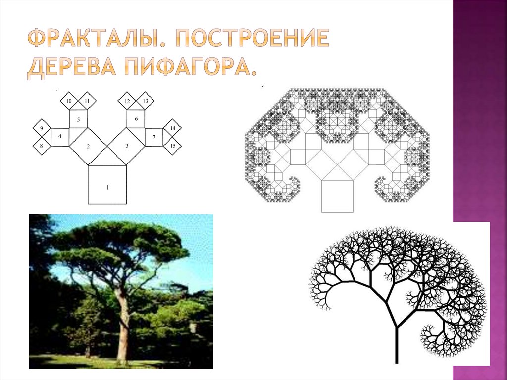 Как нарисовать дерево пифагора