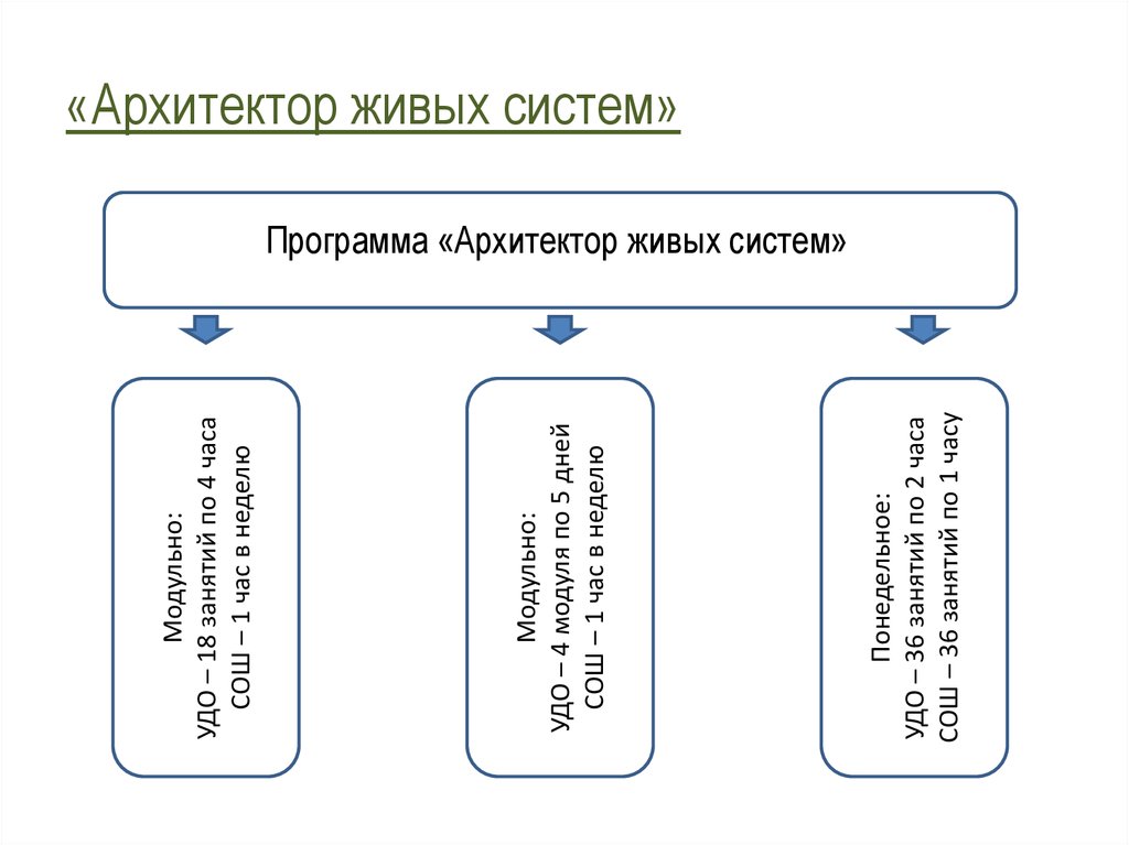 Архитектор живых систем. Архитектор живых систем зарплата. 3. Архитектор живых систем. Архитектор по живым системам.