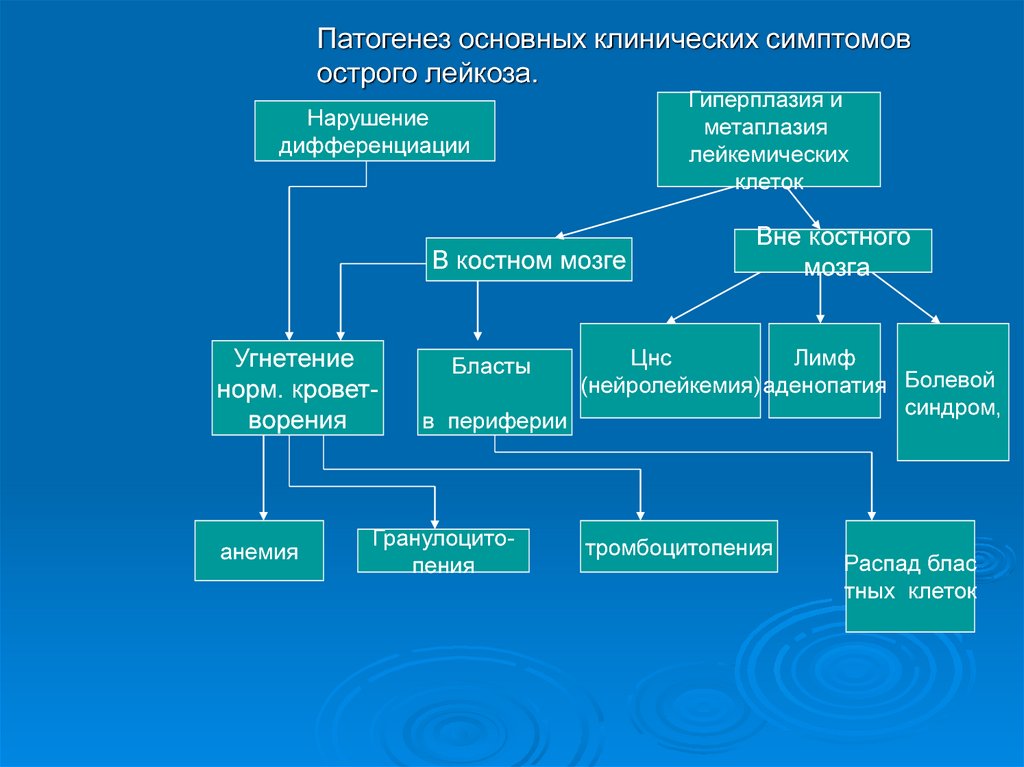 Патогенез хронического лимфолейкоза схема