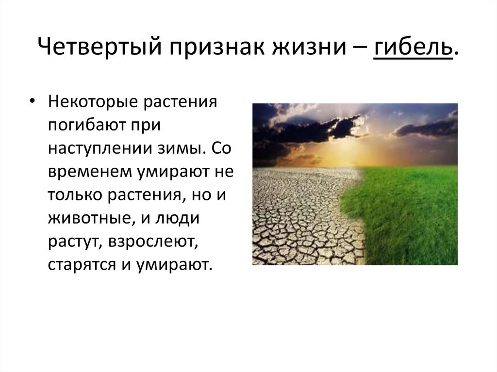 Что является признаками жизни. Четвёртый признак. Явления неживой природы 2 класс окружающий мир.