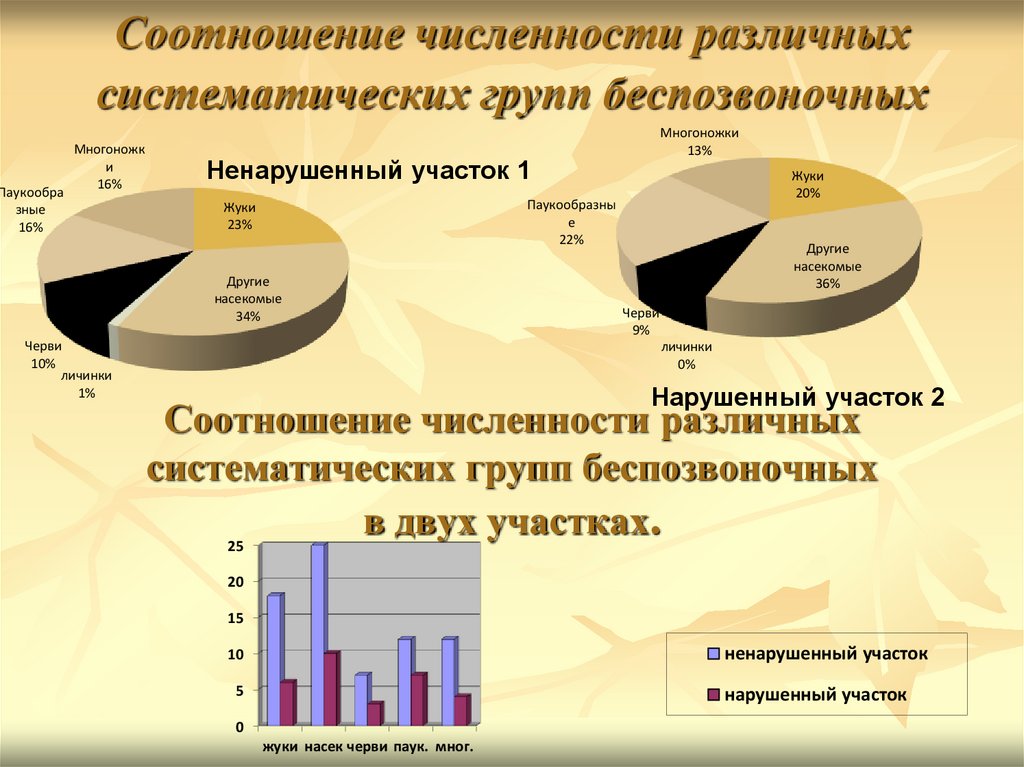 Количество различных видов