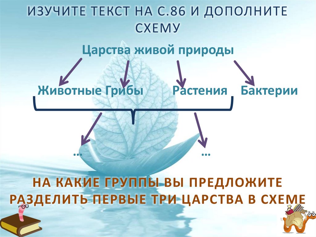 Обмен веществ у животных и растений