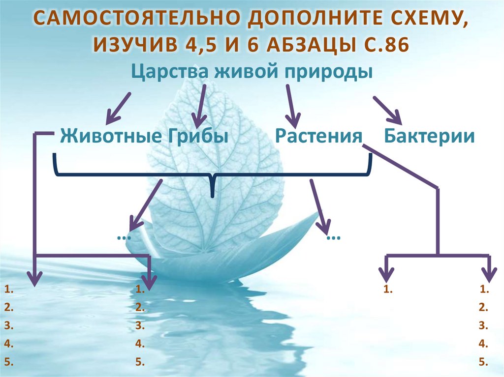 Продукт обмена веществ рыб