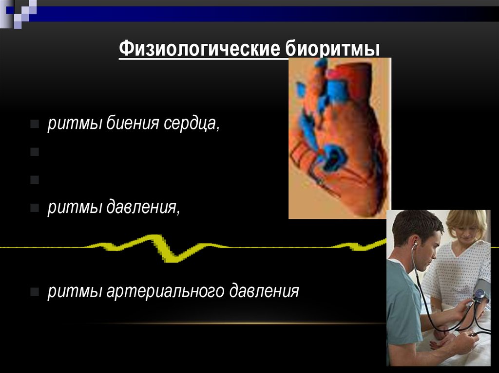 Виды биоритмов человека презентация