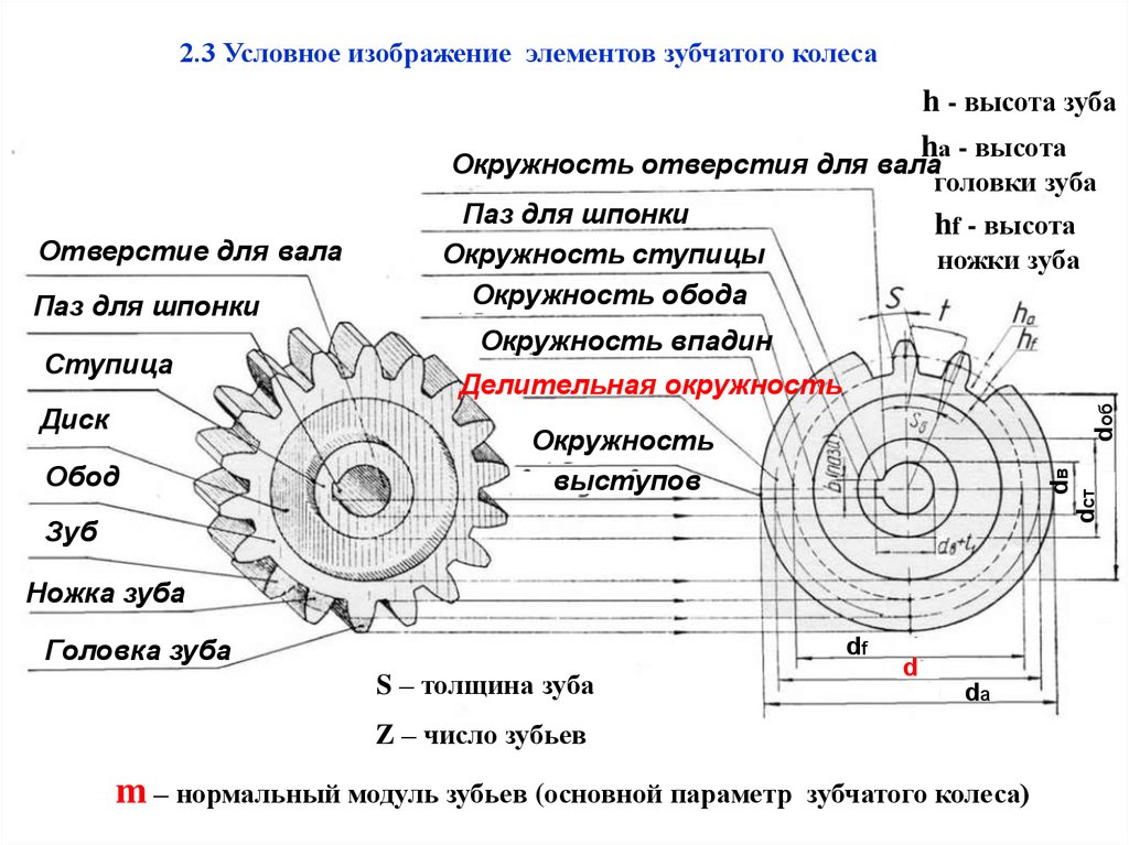 Какой вид зубчатой передачи изображен на рисунке