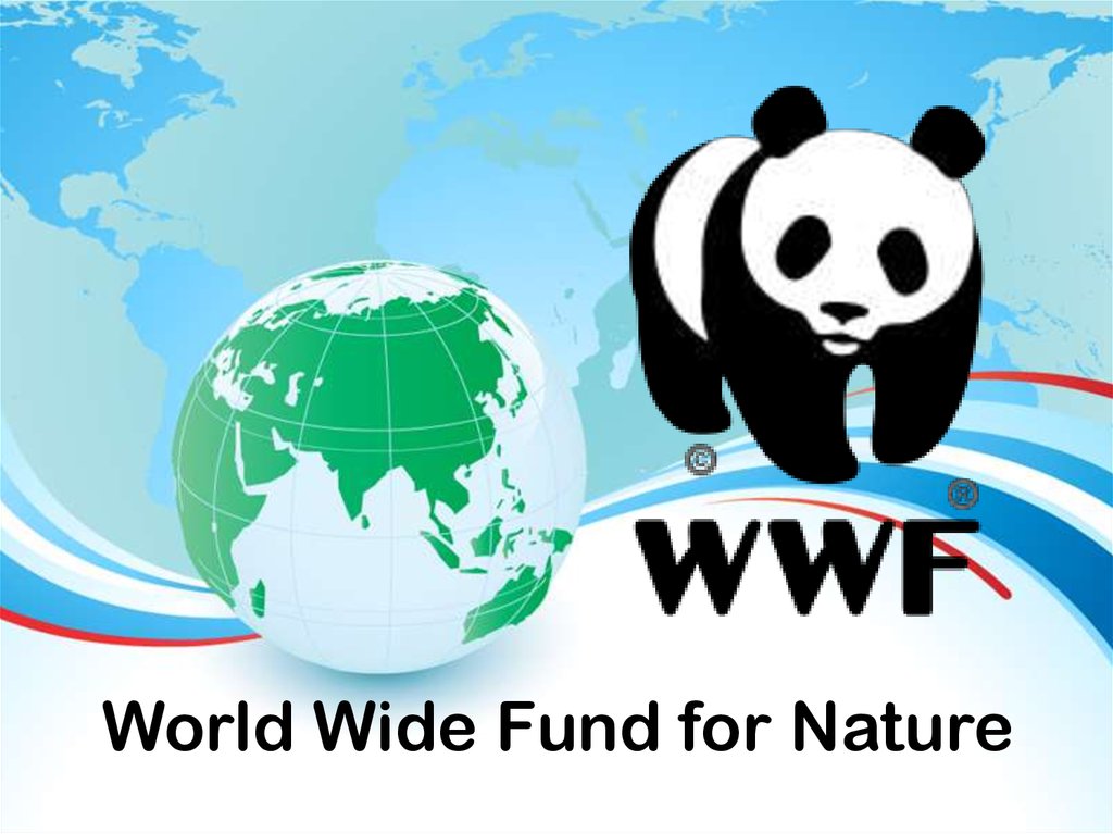World Wide Fund Nature - online presentation