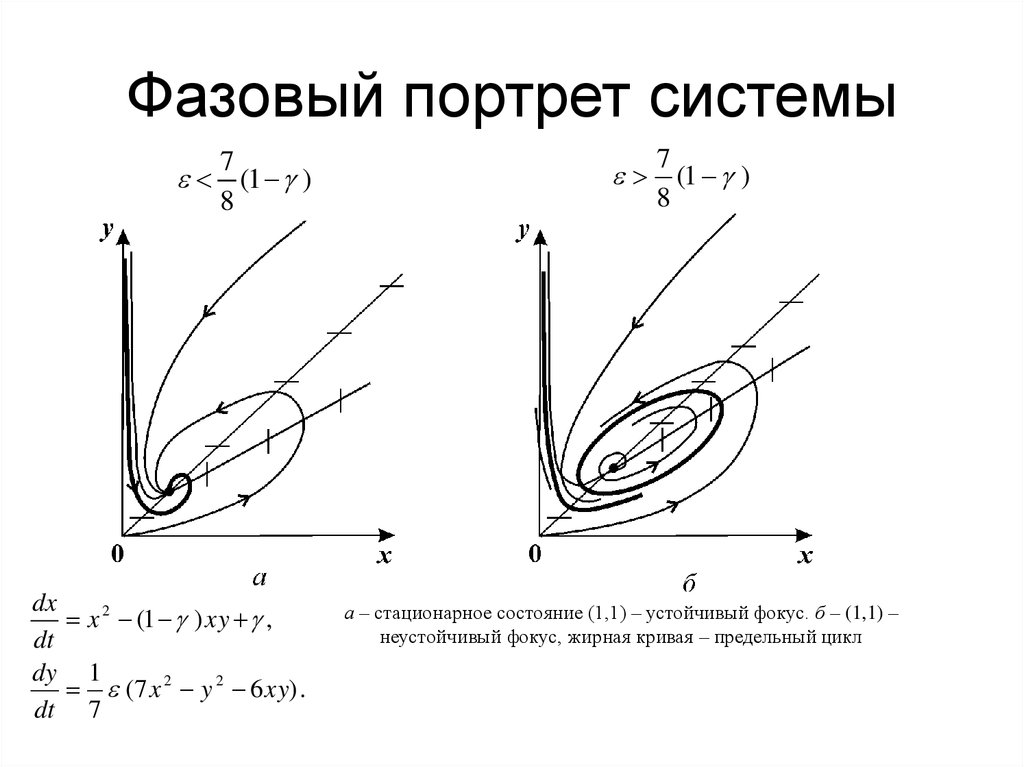 Нарисовать фазовый портрет онлайн