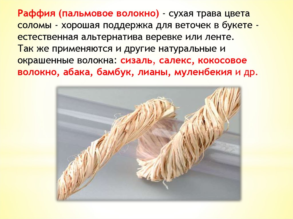 Насколько прочный. Волокно "Раффия". Пальмовые волокна. Бечевка пальмовое волокно. Веревка из пальмовых волокон.