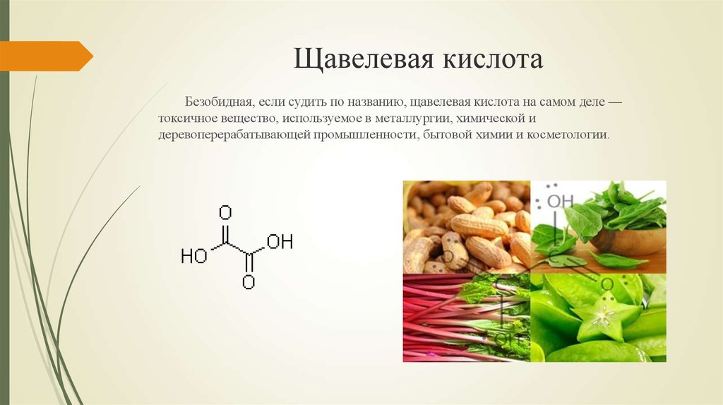 Пищевые кислоты презентация