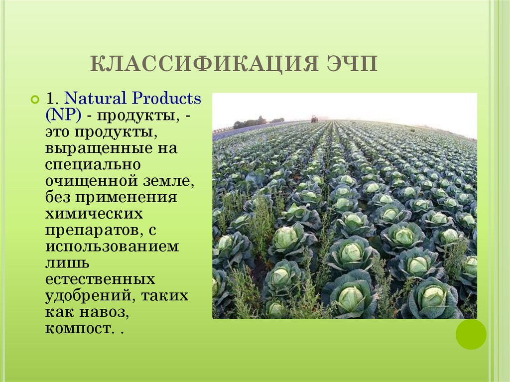 Natural production. Экологически чистые продукты презентация. Презентация на тему экологически чистые продукты в России. Экологически чистые продукты без удобрений. Продукты которые выращивают.