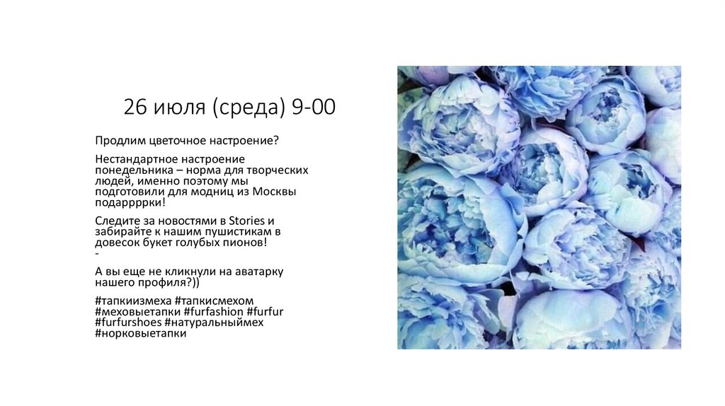 26 июля (среда) 9-00