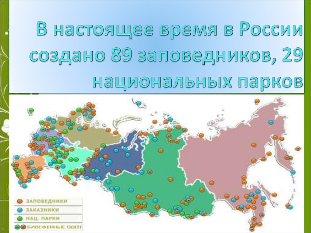 В настоящее время в России создано 89 заповедников, 29 национальных парков