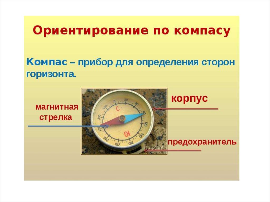 Горизонт. Линия горизонта. Стороны света. Ориентирование по компасу ...
