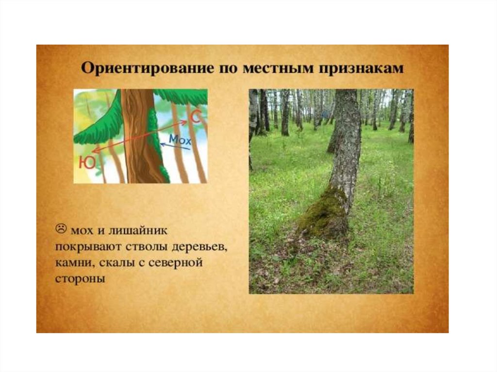 Ориентироваться лучше всех