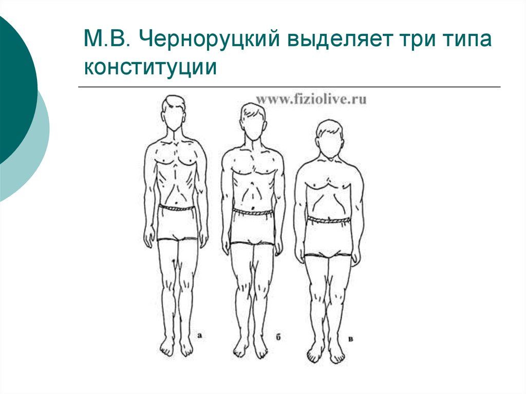 Конституция человека презентация