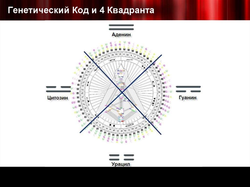 Генетический Код и 4 Квадранта