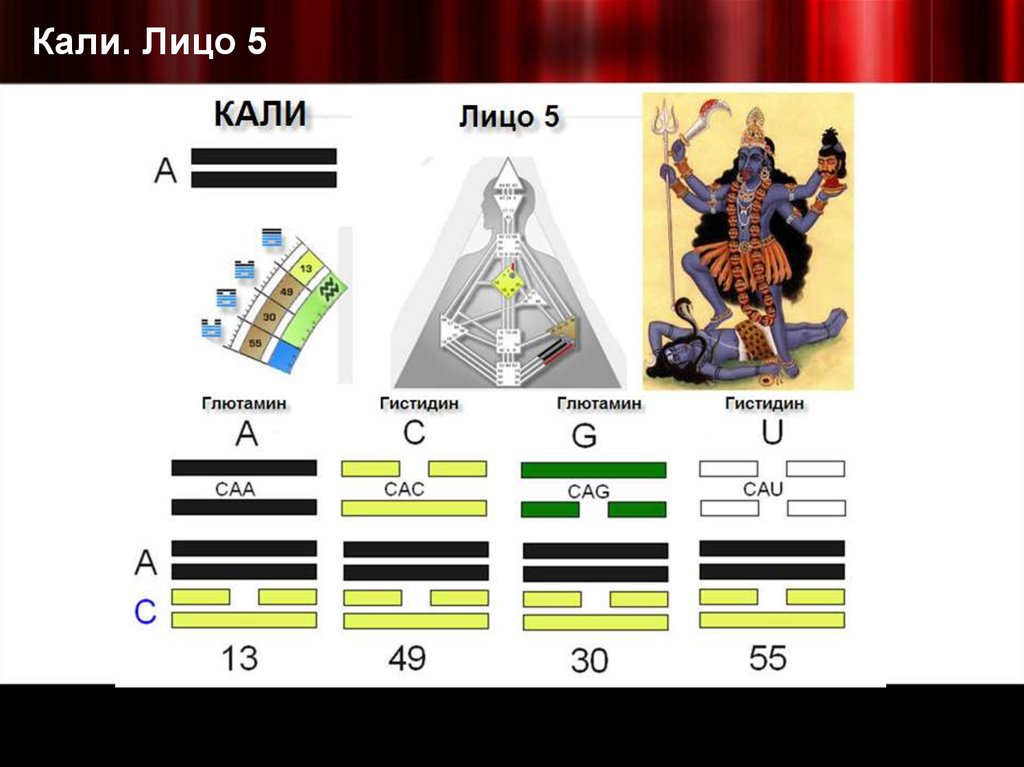Кали. Лицо 5