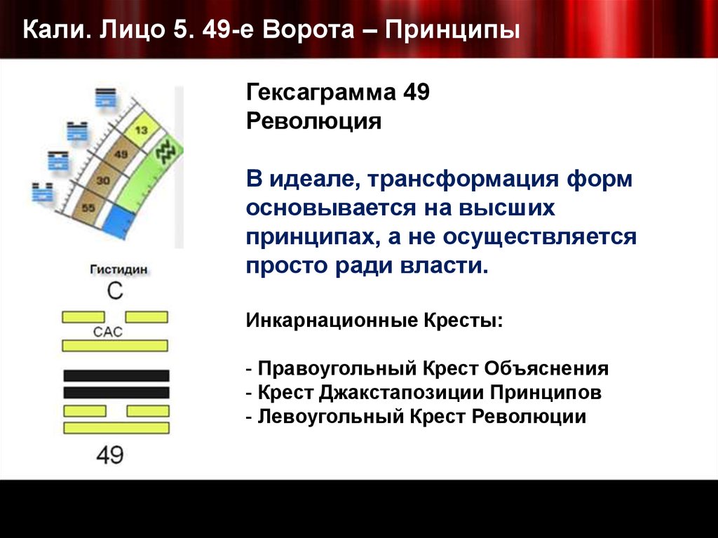 Кали. Лицо 5. 49-е Ворота – Принципы