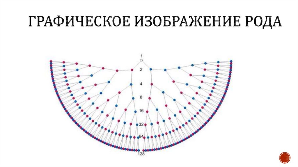 Крылья рода схема