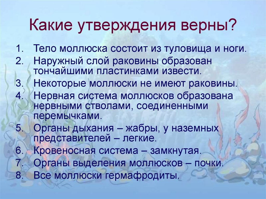 Какие утверждения верны найти