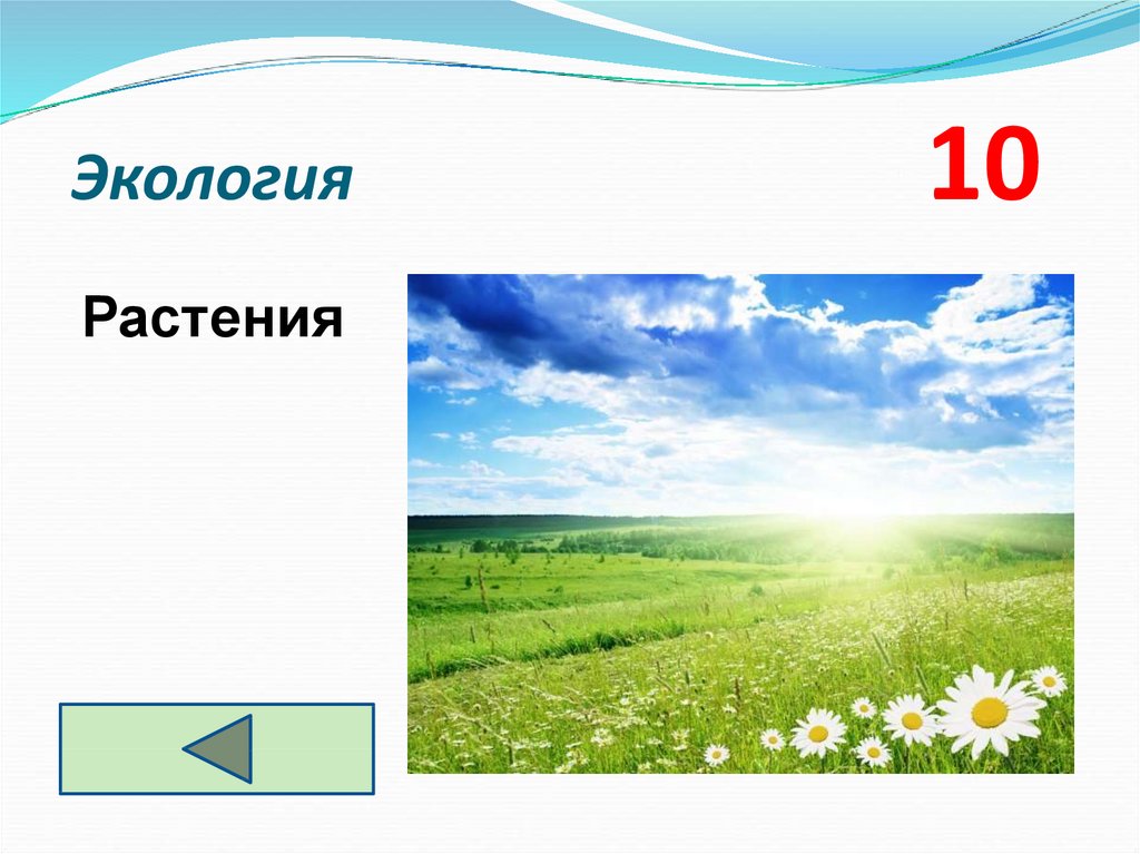 Экология 10