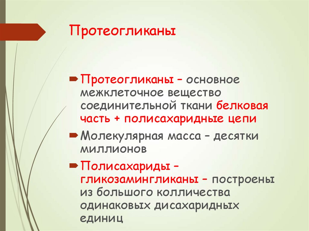 Основное вещество. Протеогликаны межклеточного вещества. Протеогликаны соединительной ткани. Основное вещество соединительной ткани. Синтез и распад протеогликанов.