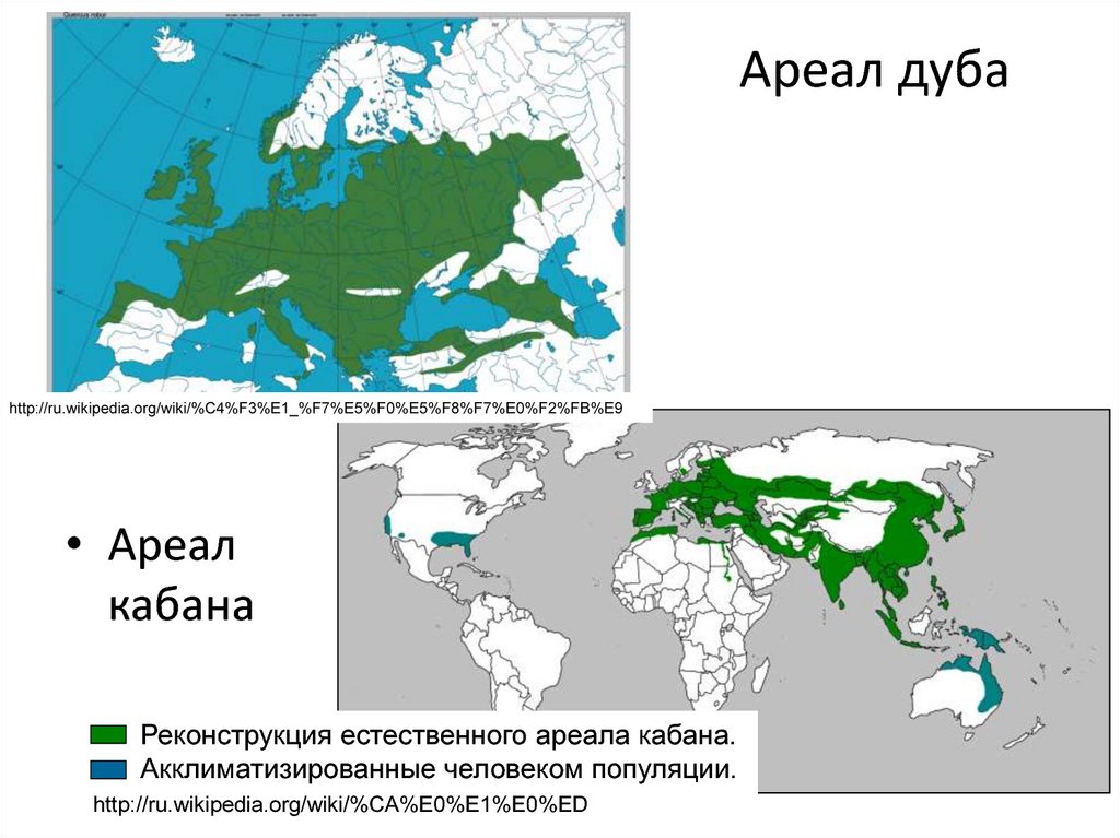 Карта распространения дуба в россии