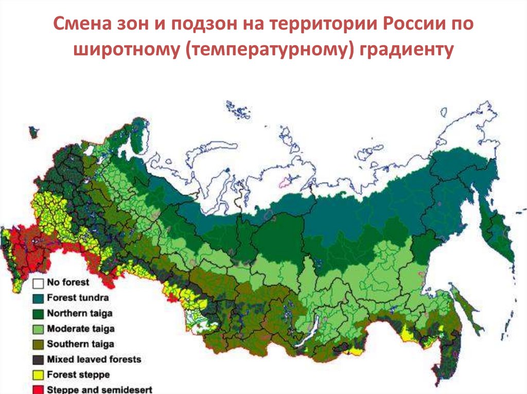 Онлайн карта тайги