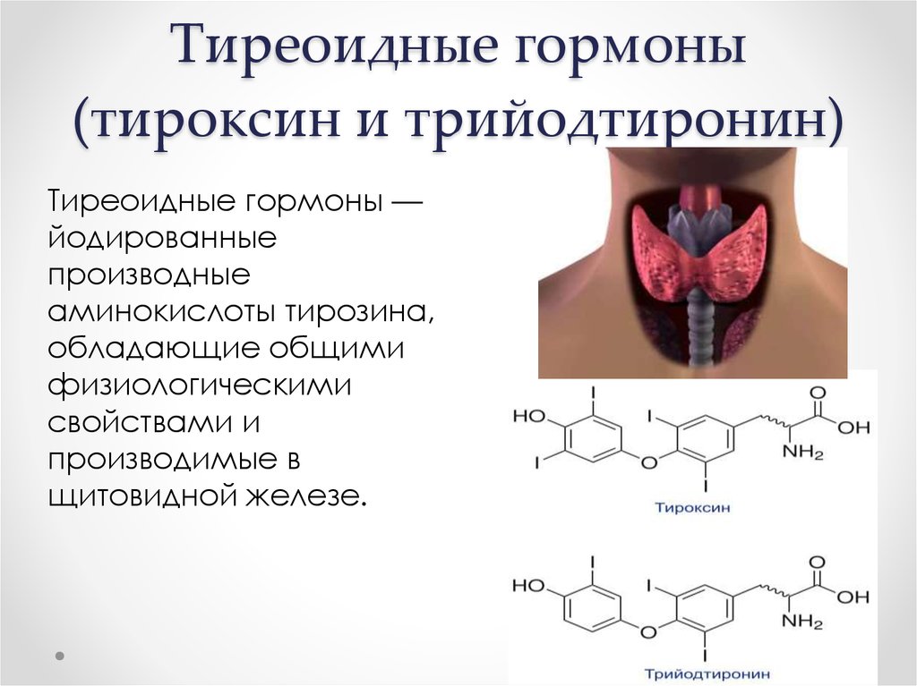 Какие железы вырабатывают тироксин. Тироксин гормон щитовидной железы. Гормоны щитовидной железы трийодтиронин. Трийодтиронин (т3) и тироксин (т4).. Гормоны тироксин и трийодтиронин.