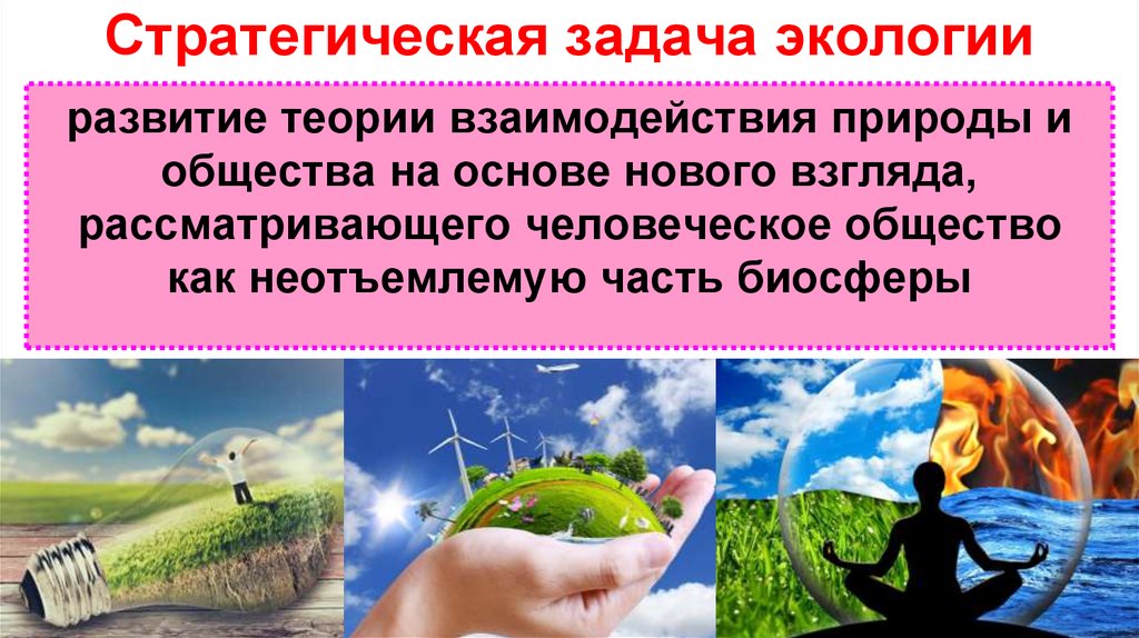 Экология и развитие общества. Стратегическая задача экологии. Концепции взаимодействия общества и природы. Стратегические задачи экологической безопасности. Экология.