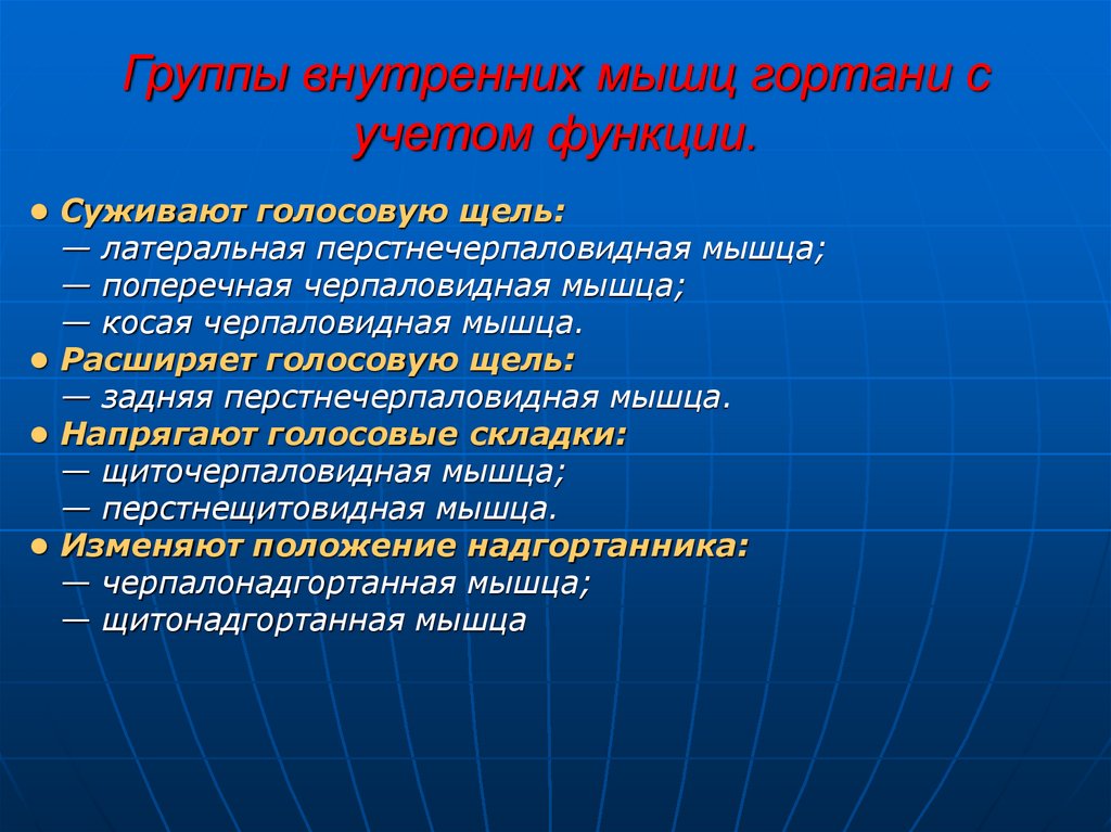 Внутренняя группа. Функции внутренних мышц гортани. Мышцы гортани по группам.