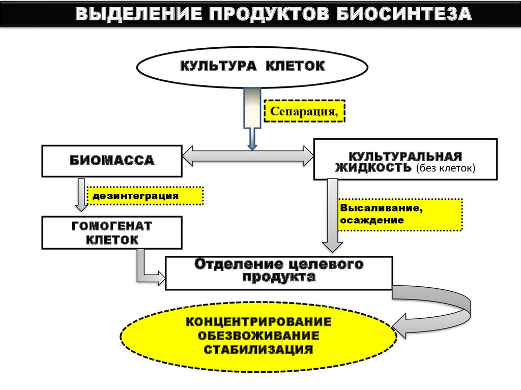 Мгупп биотехнология учебный план