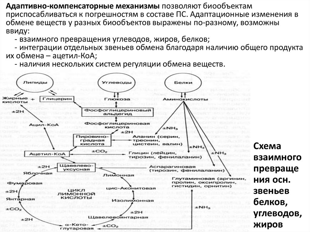 Механизм позволяющий. Адаптивно компенсаторные механизмы. Адаптационно компенсаторные возможности слабовидящих. Компенсаторные механизмы адаптации. Адаптационно-компенсаторные возможности это.