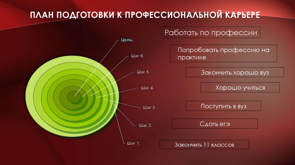 План подготовки к профессиональной карьере повара