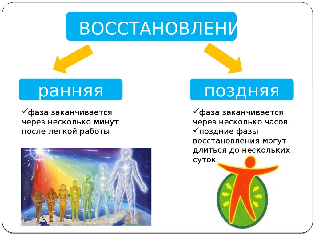 Утомление и восстановление при физической и умственной работе - online  presentation