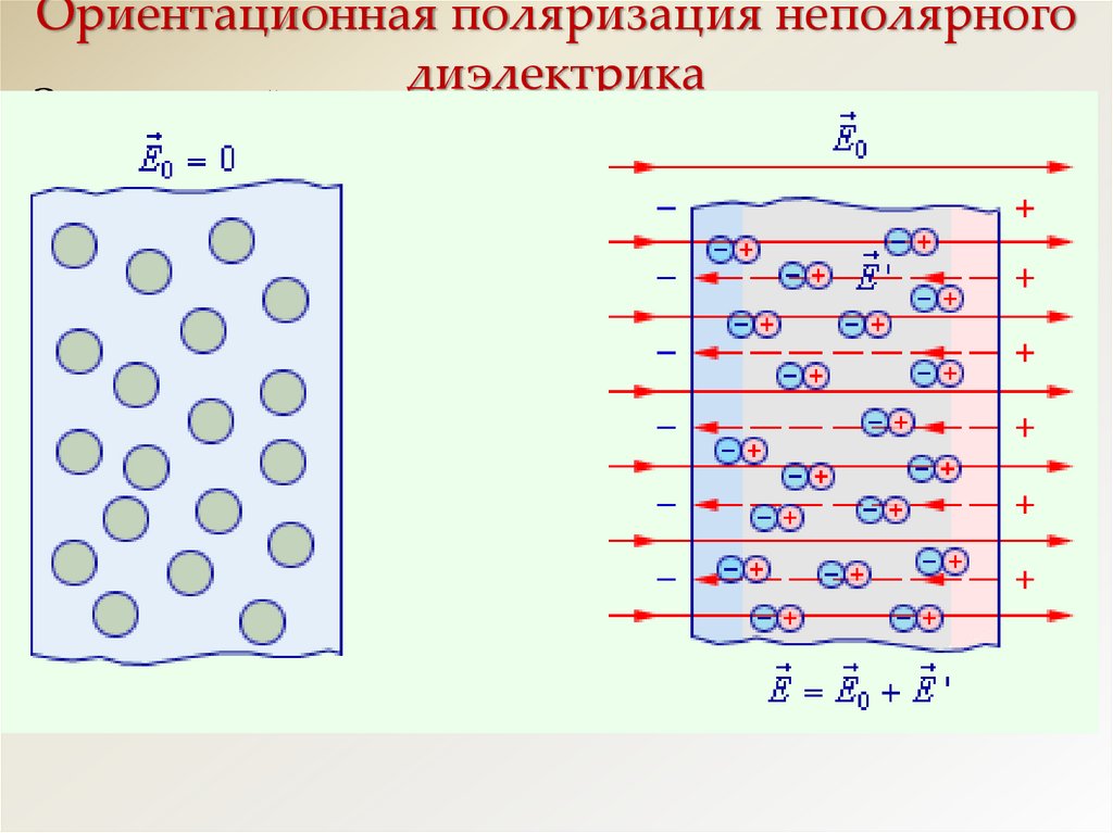 На каком из рисунков правильно изображена поляризация диэлектрика помещенного в однородное