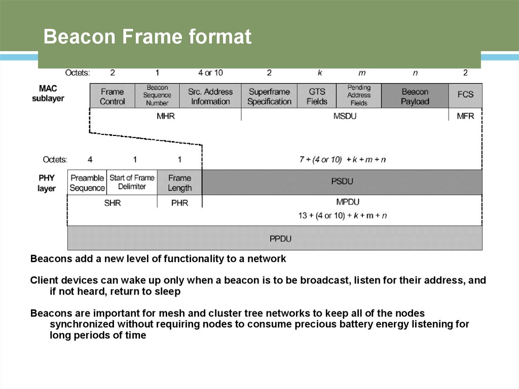 Beacon Frame format