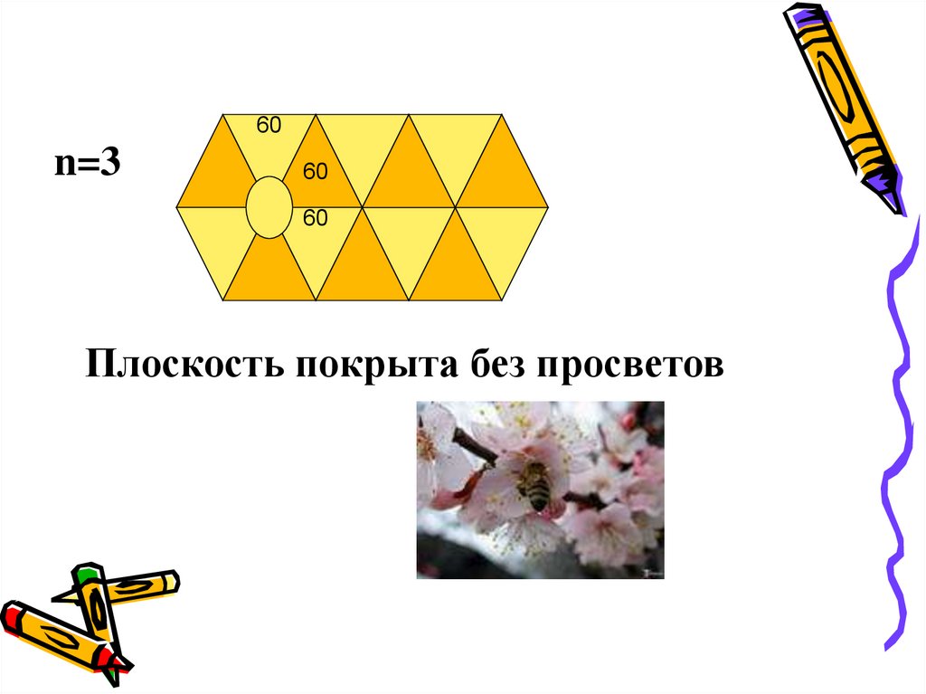 Многоугольники в природе. Геометрия пчелиных сот проект. Многоугольник подобный пчелиным сотам. Геометрия в природе соты презентация. Многоугольник подобный пчелиным 100.