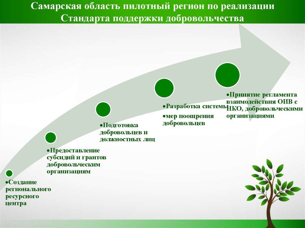 Самарская область пилотный регион по реализации Стандарта поддержки добровольчества