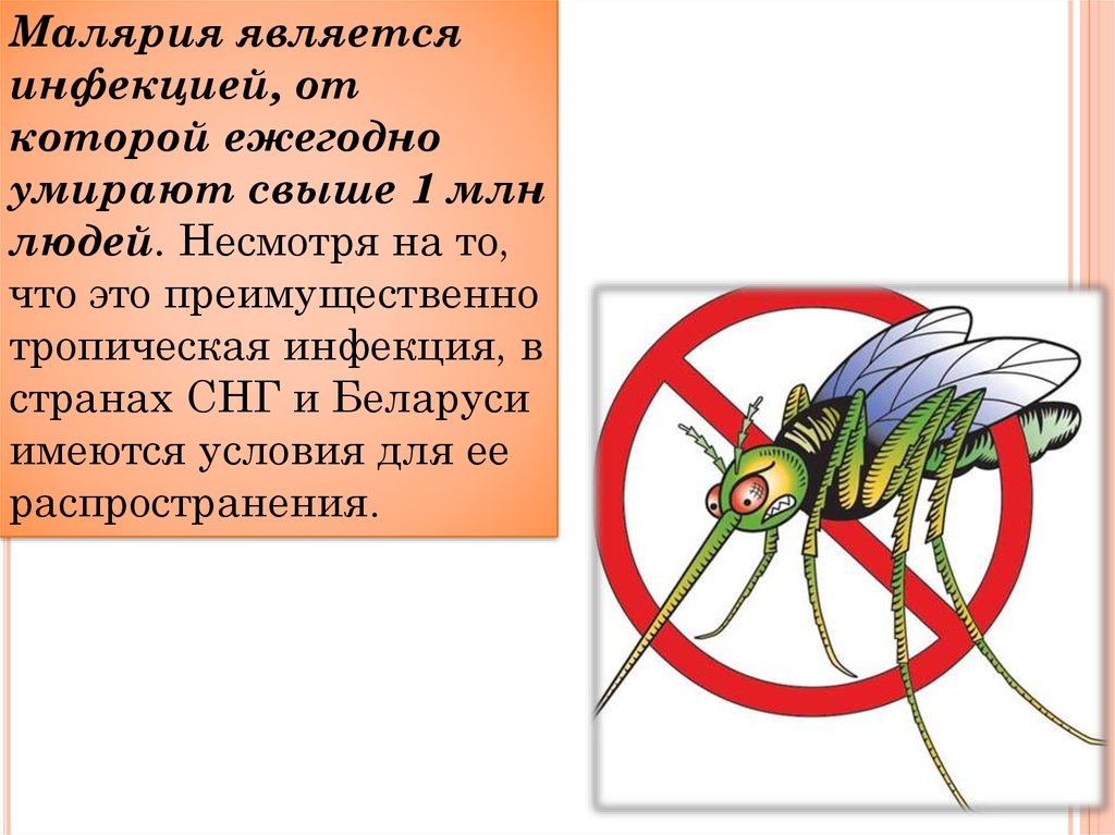 Трансмиссивные инфекции презентация