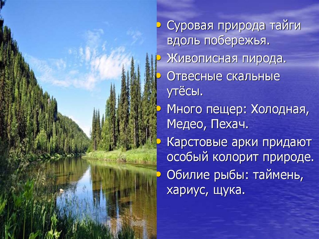 Воды тайги в россии
