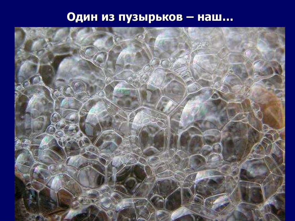 Один из пузырьков – наш…