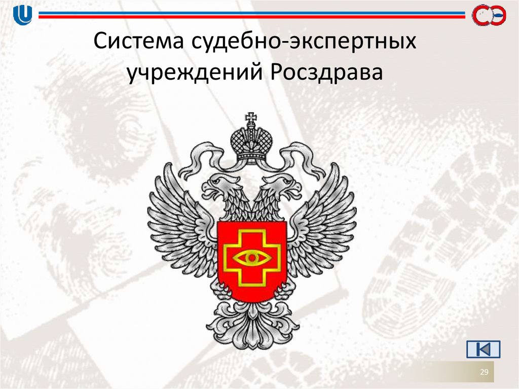 Фз о судебно экспертной деятельности. Система судебно-экспертных учреждений Росздрава. Росздрава. 6. Система судебно-экспертных учреждений России.. Экспертные учреждения Министерства здравоохранения.