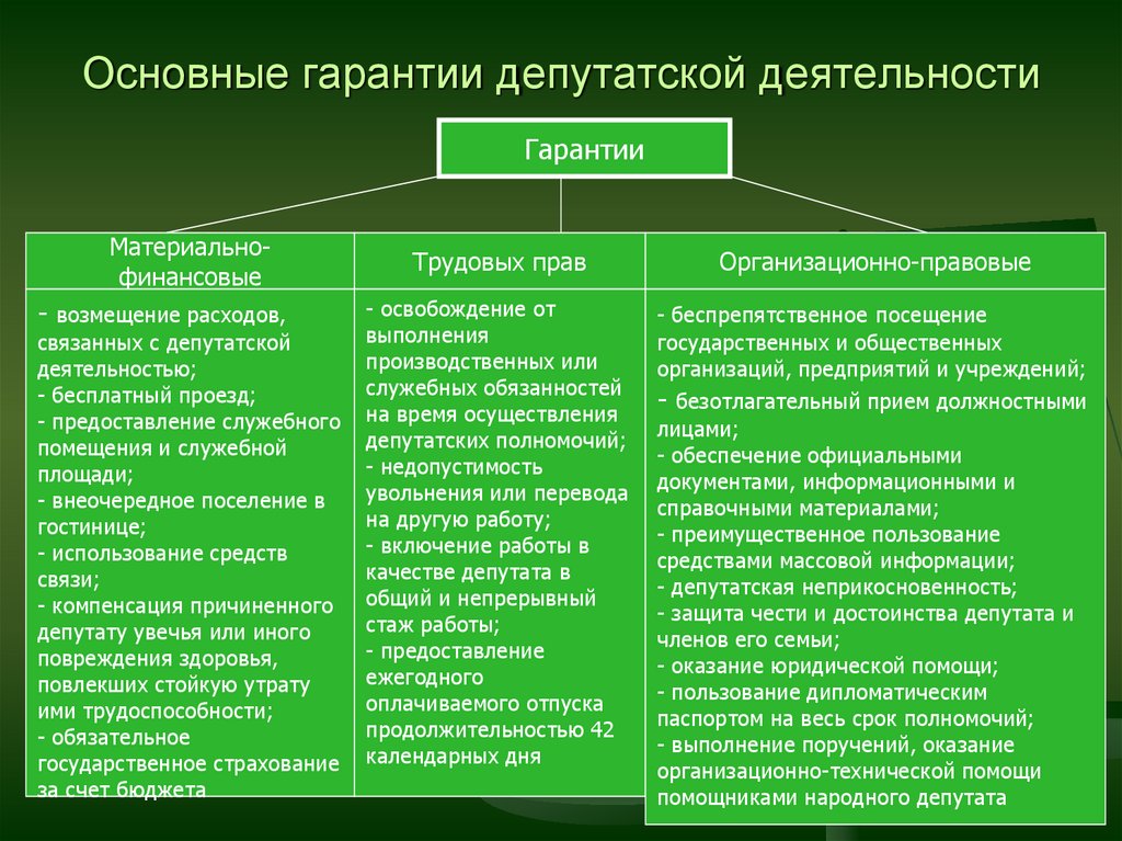 Гарантии государственной думы