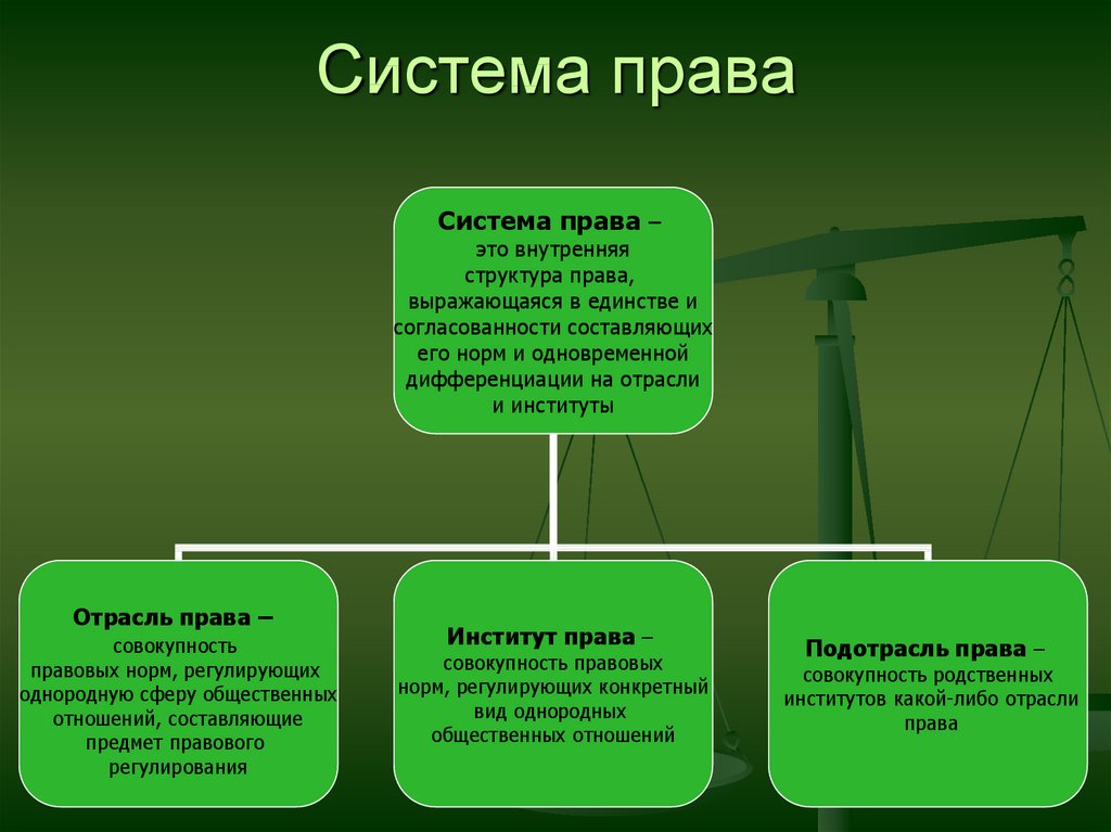 Отрасли права 9 класс обществознание презентация