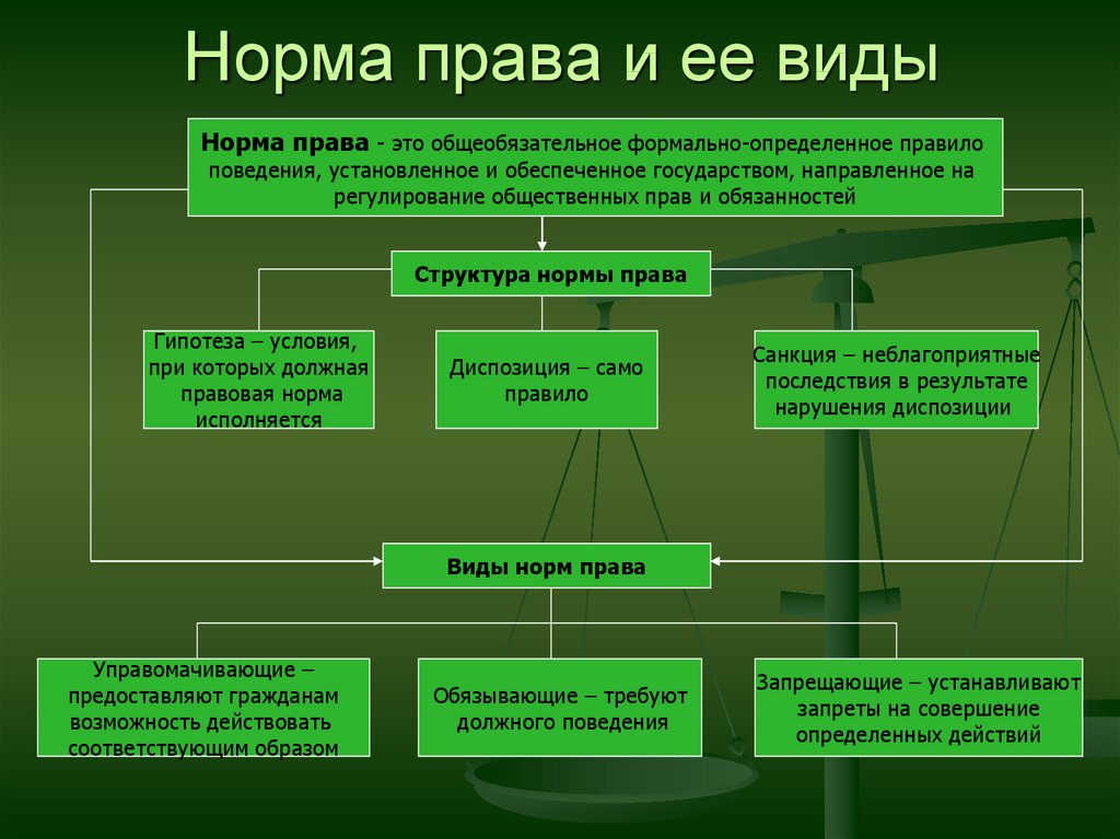 Понятия относящиеся к праву. Нормы права понятие структура и виды. Понятие и структура правовой нормы. Понятие и виды правовых норм. Понятие и виды норм права. Структура правовой нормы..