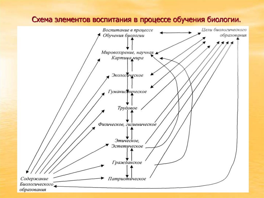 Системы образования по биологии. Процесс воспитания схема. Элементы процесса образования схема. Воспитание в процессе обучения схема. Элементы воспитания в процессе образования.