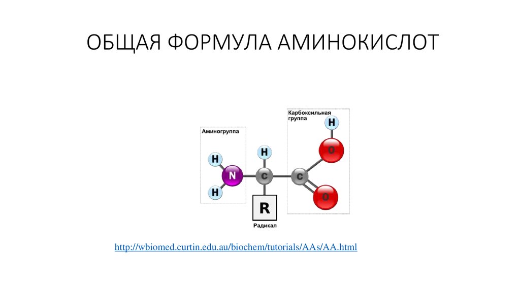 Общая формула. Общая формула аминокислот. Общая формула Альфа аминокислот. Дикарбоновые аминокислоты формулы. Аминокислоты имеют общую формулу.