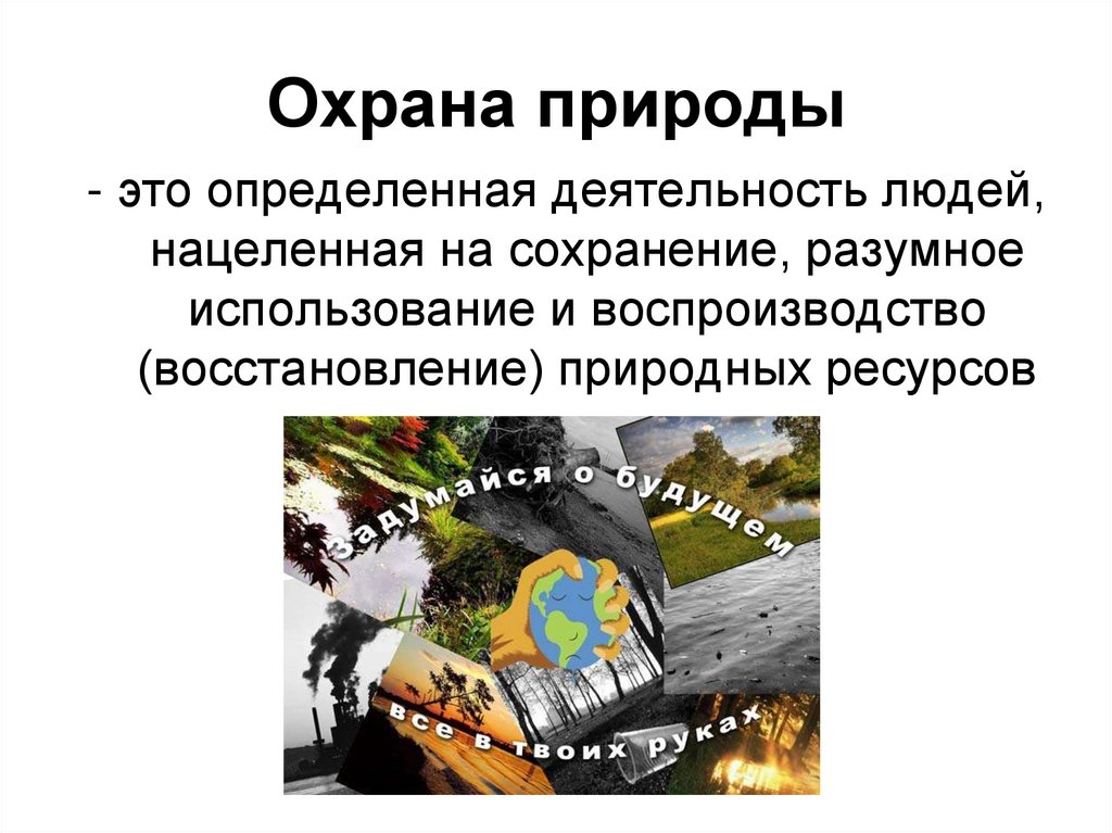 Охрана природы география. Охрана природы. Охрана природы это определение. Охрана природы слайд. Охрана природы это определенная деятельность.