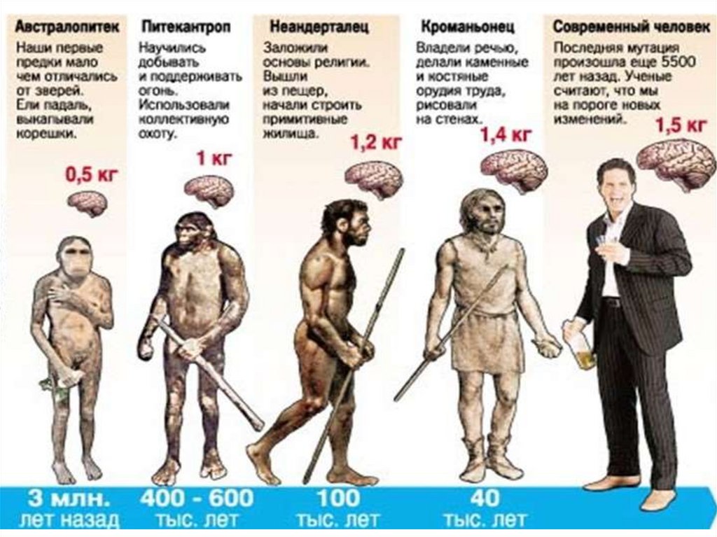 Эволюция человека презентация 9 класс